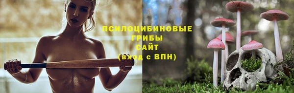 а пвп мука Белокуриха