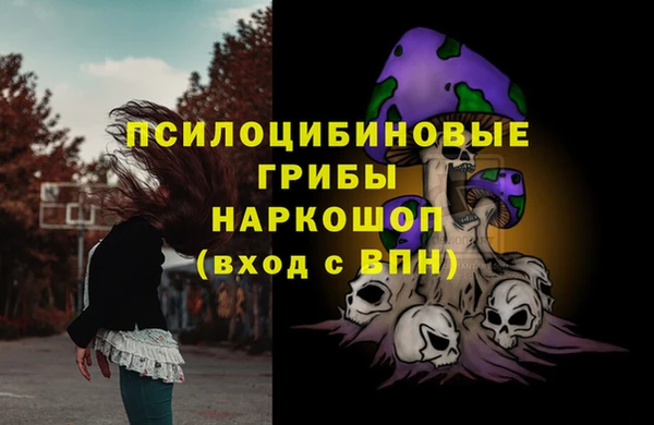 а пвп мука Белокуриха