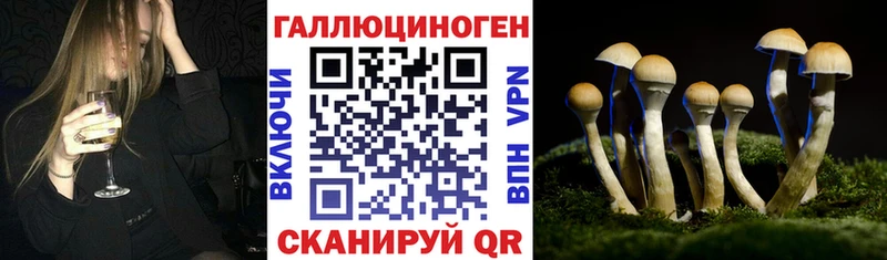 Псилоцибиновые грибы Cubensis  купить наркотик  Волжск 