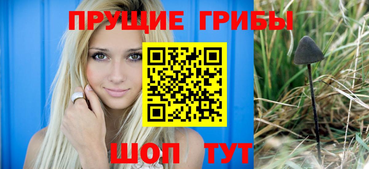 Волжск  Псилоцибиновые грибы мухоморы  магазин    Вход с VPN 
