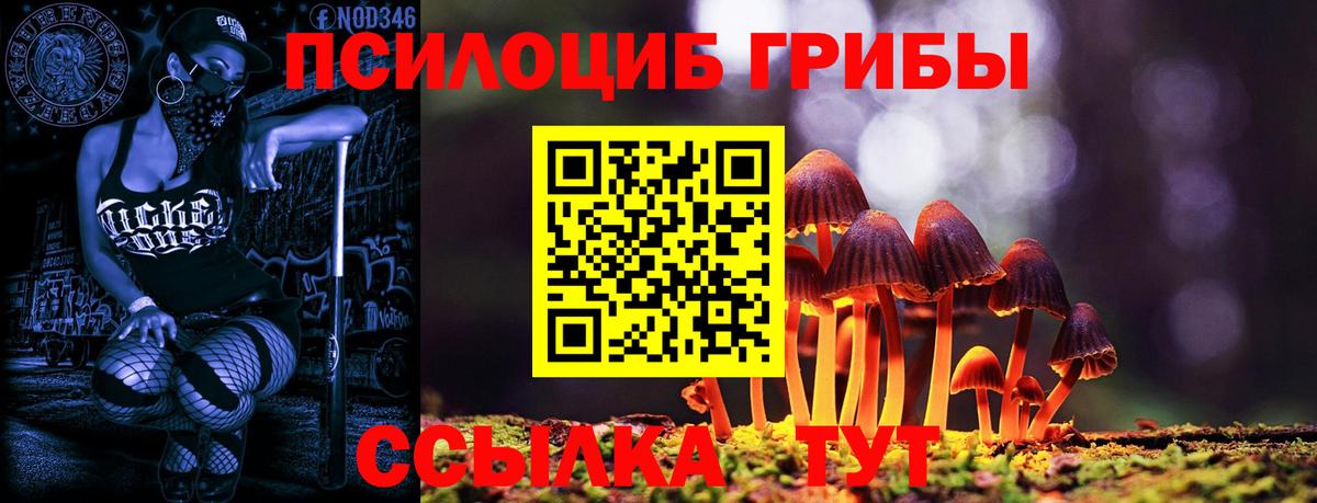 Псилоцибиновые грибы Psilocybe Волжск